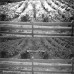 62 B+W 092 DARK RED 62 MM